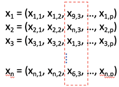 permutation feature importance